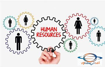 كل ما تريد معرفته وظيفة الموارد البشرية ( HR) ؟ - Advice كل ما تريد معرفته وظيفة الموارد البشرية ( HR) ؟
