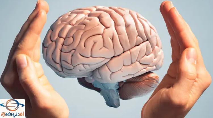 brain health - Advice صحة المخ