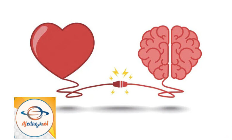 هل الذكاء العاطفي يوثر على الموظف أثناء قيامه بعمله؟ - Advice هل الذكاء العاطفي يوثر على الموظف أثناء قيامه بعمله؟