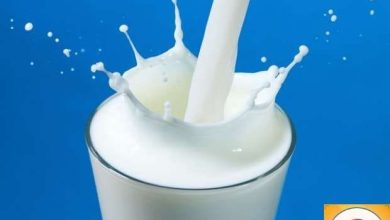 ما هي أهمية تناول منتجات الألبان في شهر رمضان؟