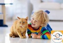 كيف تؤثر تربية الحيوانات الأليفة في منزلك على الأطفال؟
