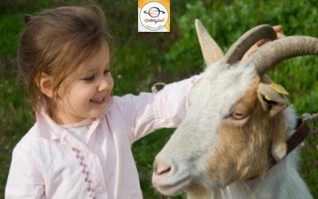 استغل قدوم عيد الأضحى المبارك لتقوم بتعليم طفلك هذه القيم